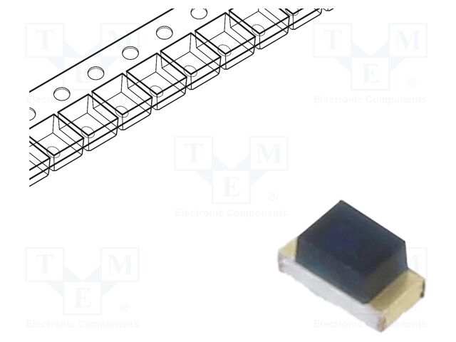 PT19-21B/L41/TR8