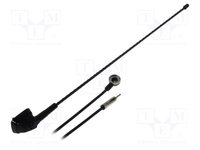 ANT.28