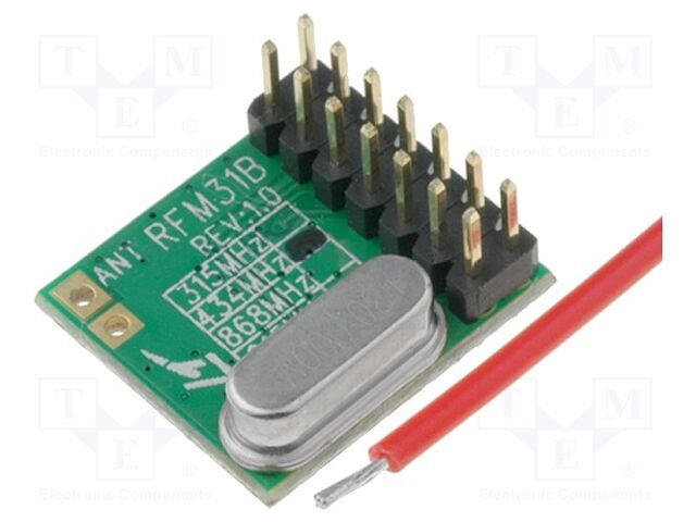 RFM31B-433D