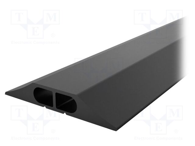 CP010010