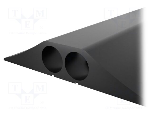 CP010002