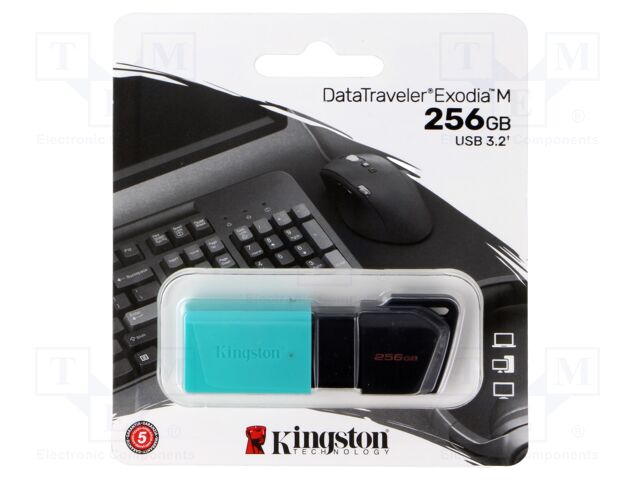 DTXM/256GB