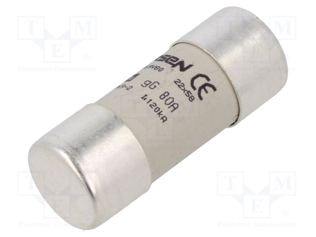 FR22GG69V80