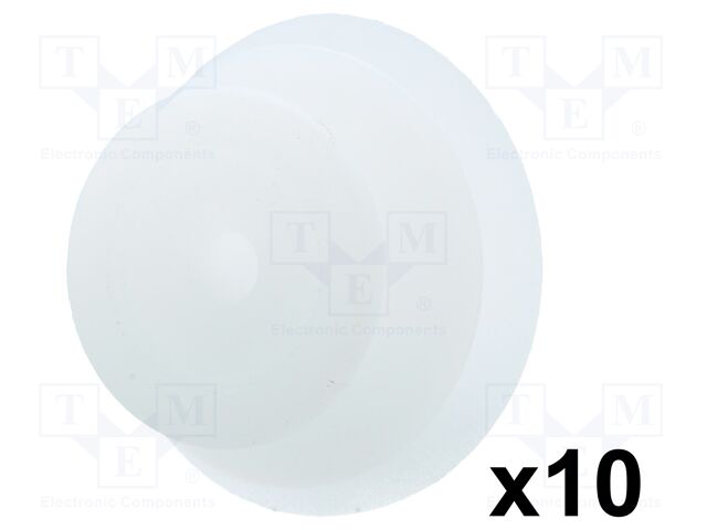 C10091