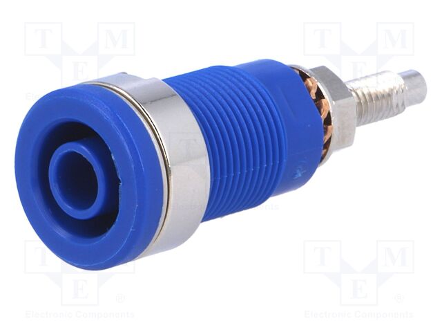 SEB 6446 NI / BL