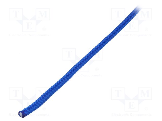 IRPP06BLU100