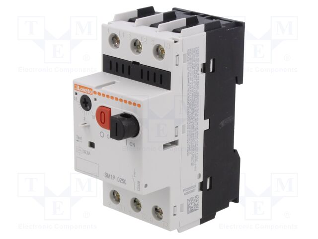 SM1P0250