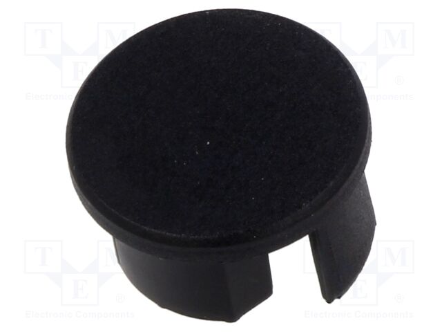 C24204C07