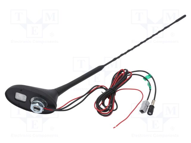 ANT.59