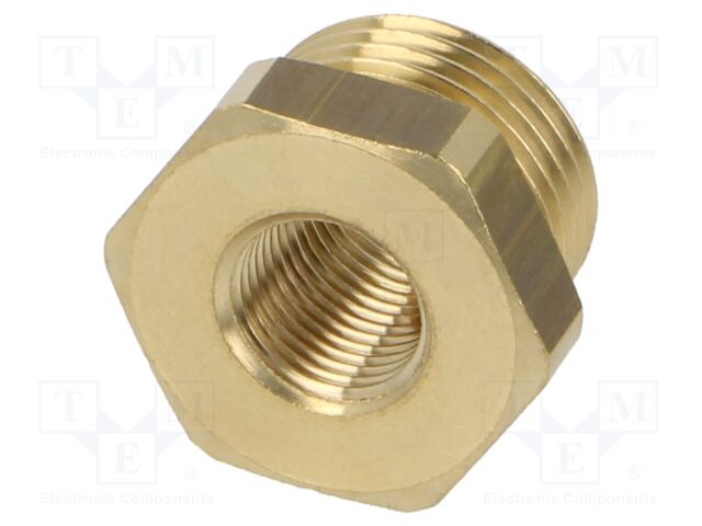 MS251K3818