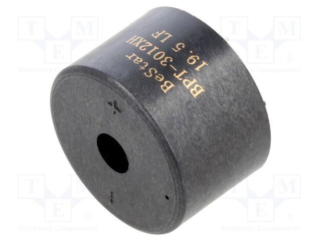 BPT3012XH19.5