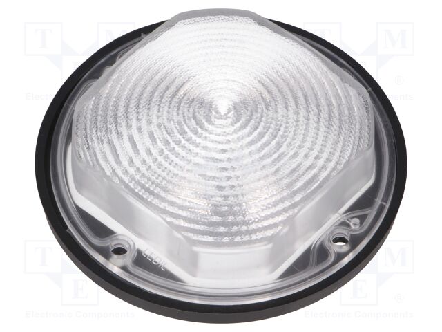 FN14720_STELLA-FRESNEL