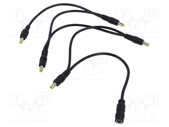 CSJ2155ST5P2155SRCH