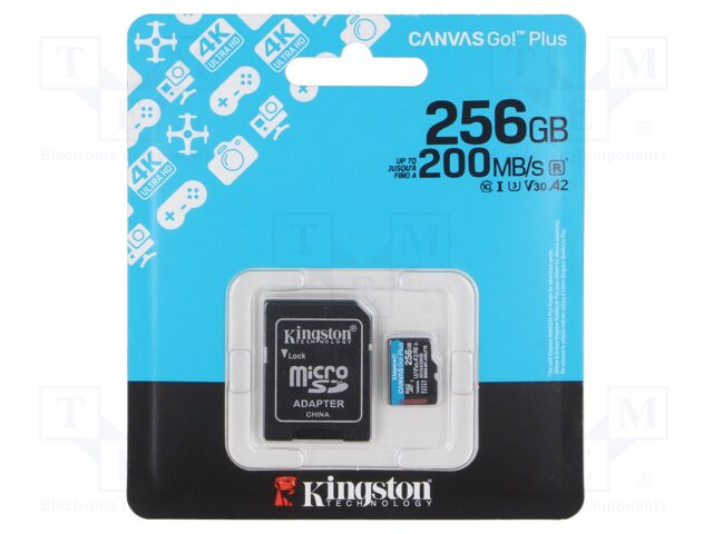 SDCG4/256GB