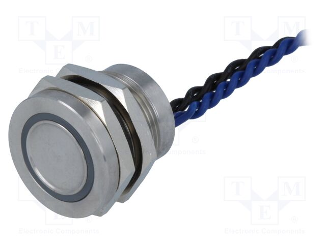 PS193P10YSS1B12T