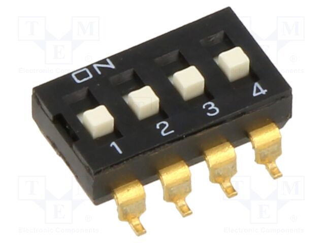DS04-254-1-04BK-SMT