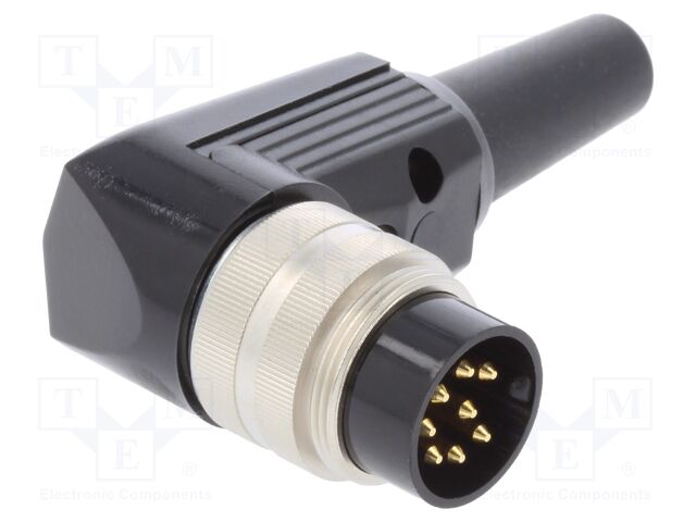 WSV 81