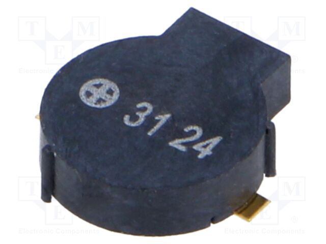 CBT-09427-SMT-TR