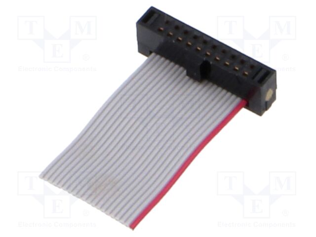 FFSD-10-S-01.00-01-N
