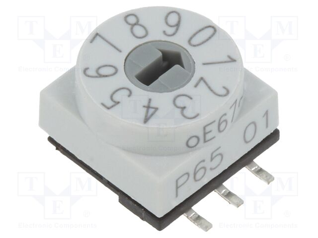 P65SMT101