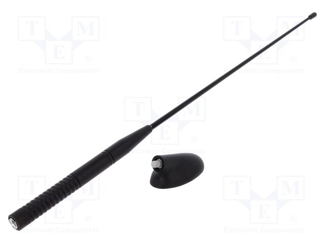 ANT.47