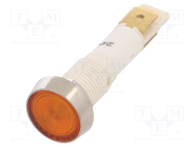 IND10P-24Y-C