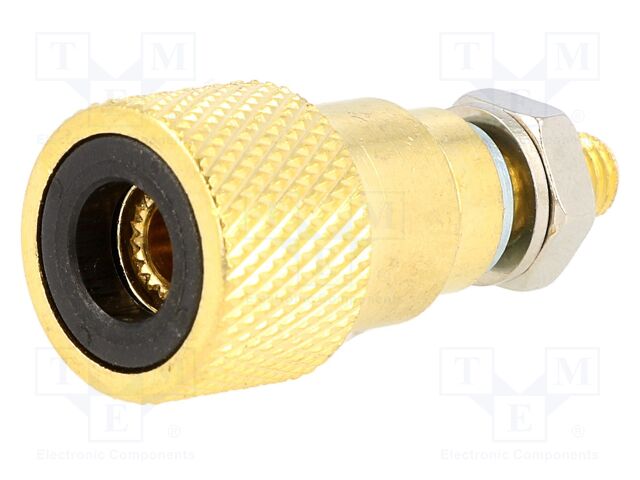 CL2160B TP/6 CS