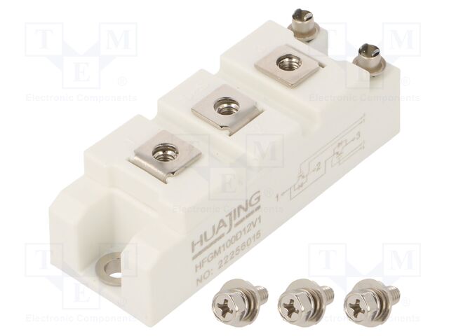 HFGM100D12V1