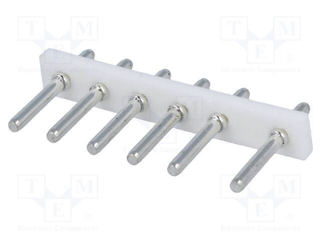 NHW-06