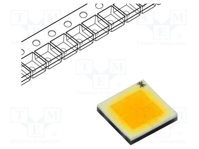PBLC-10FNE-B4NH40