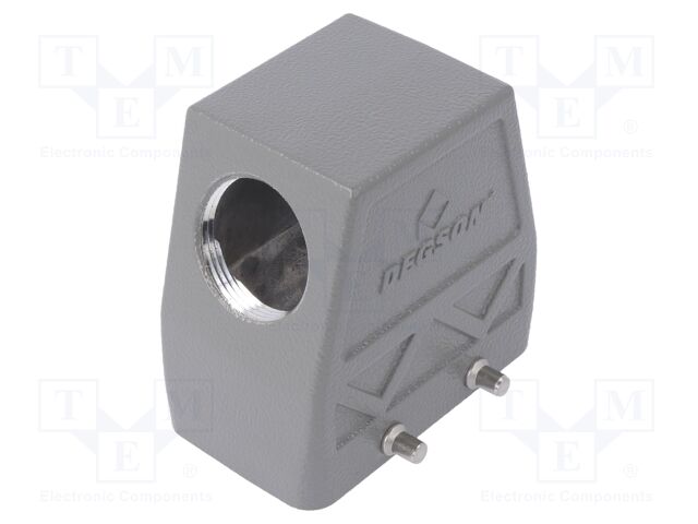 D10B-SEH-4G-PG21