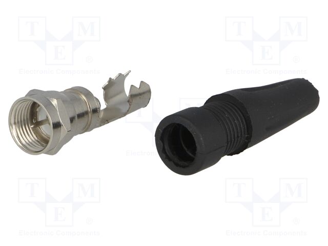 H3953 ZINC
