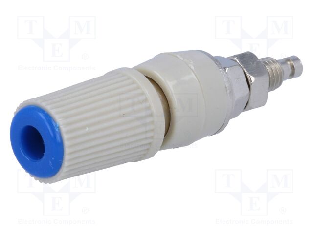 BS-244DSM-BL
