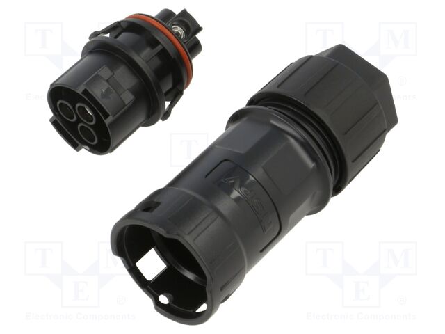 DS1162-03-3FC6B10