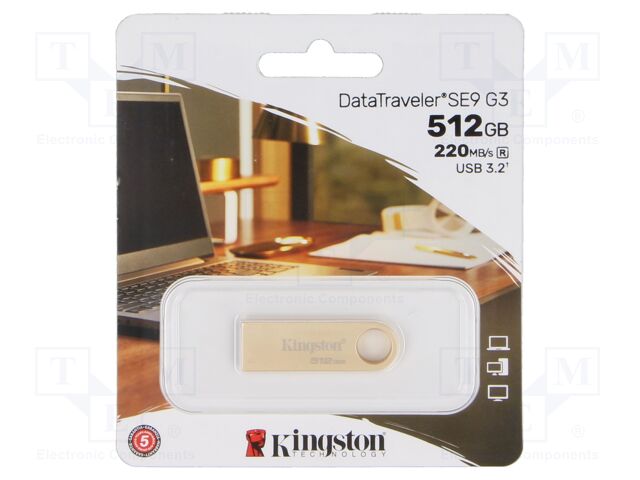 DTSE9G3/512GB
