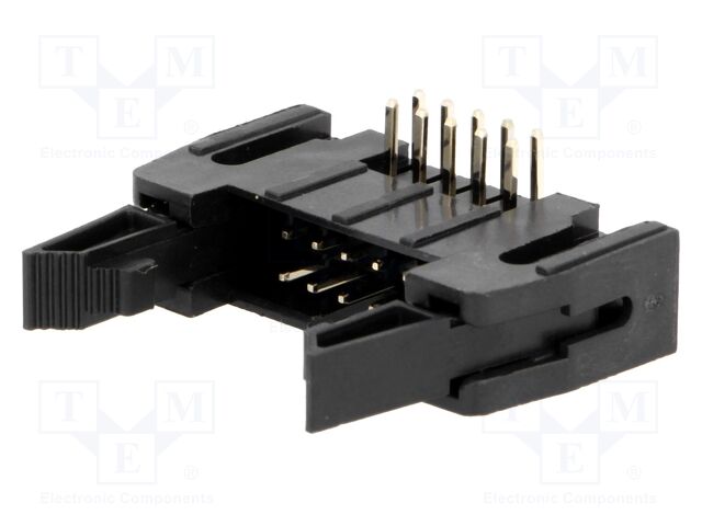 DS1011-10RBSIB7