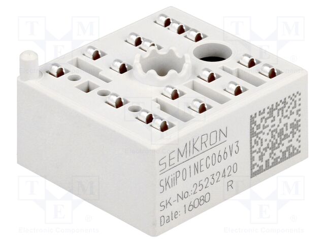 SKIIP 01NEC066V3 25232420