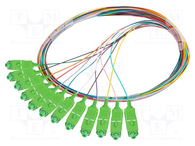 FP-SCAP-SS21-1202-MC