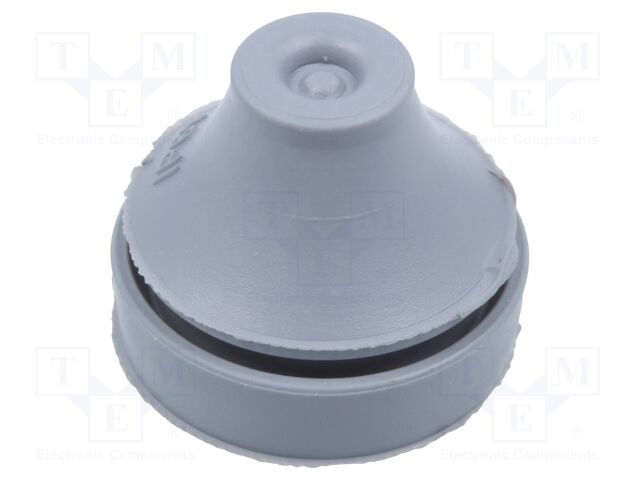 IMT36180