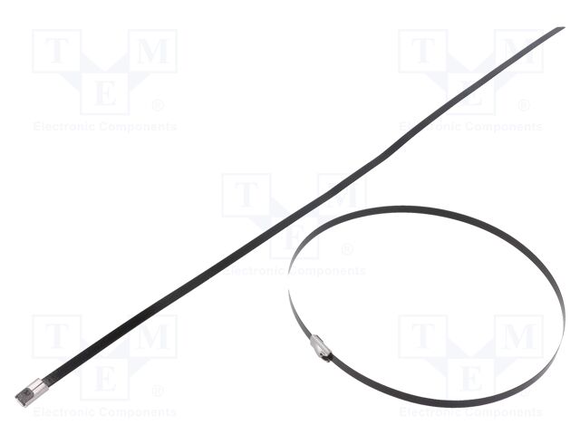 BMSC3745