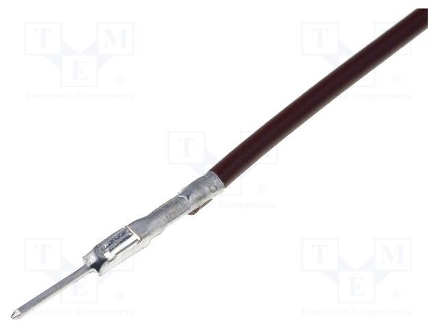 PZK82170