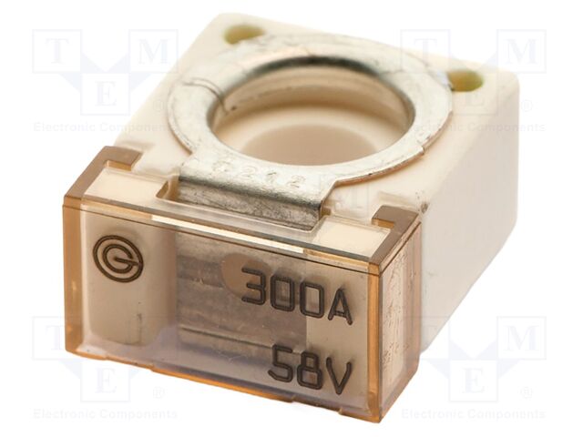 CF300