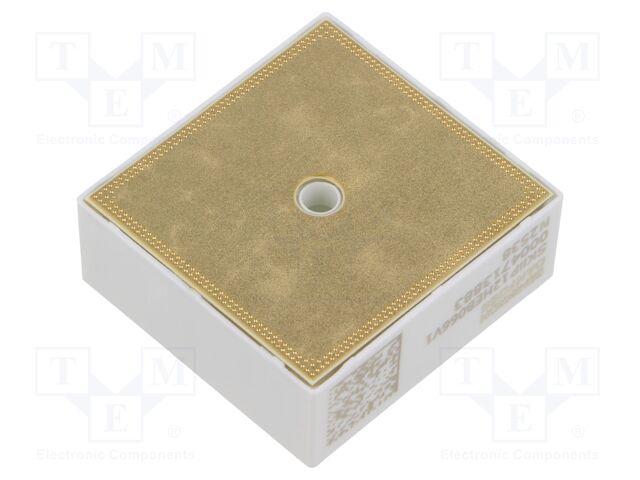 SKIIP 12HEB066V1 25230840