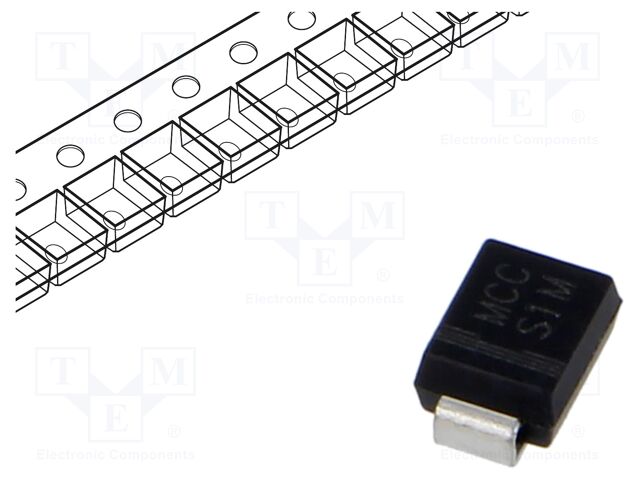 S1M-LTP