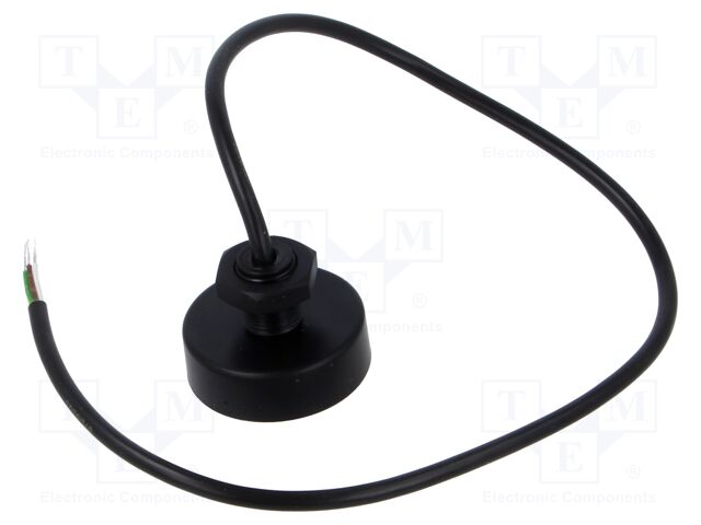 1W-H0-06 BZ M12 MS
