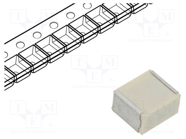 F161WP225K050V