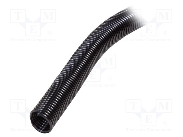 CLT125F-L20