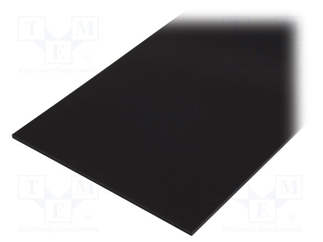 30401194C008050010