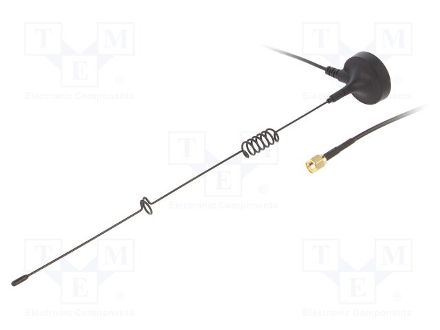 GSM-ANT024