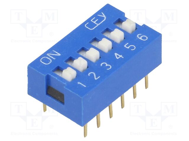 DS-06